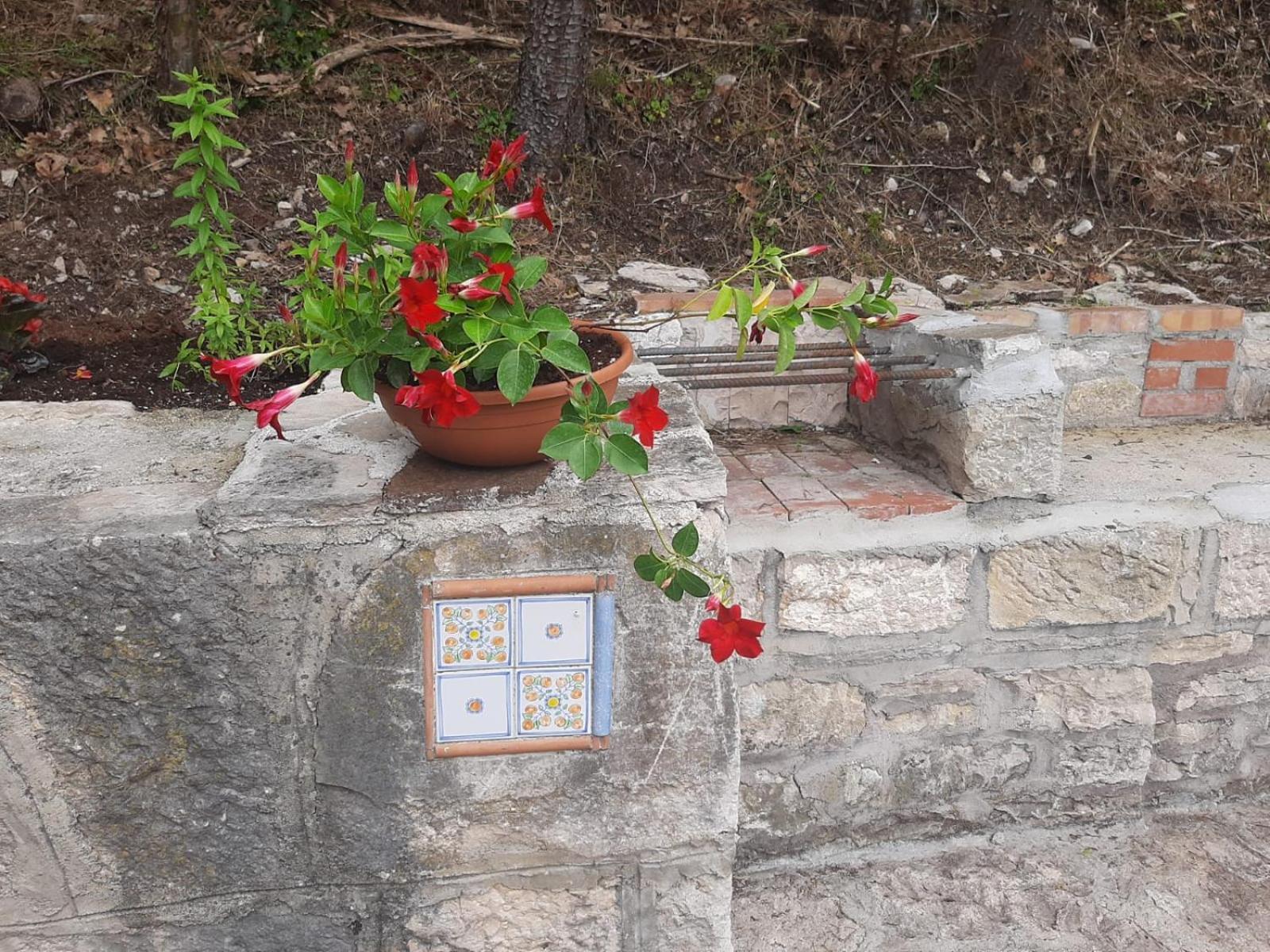 Il Caminetto Apartment Carpinone Bagian luar foto